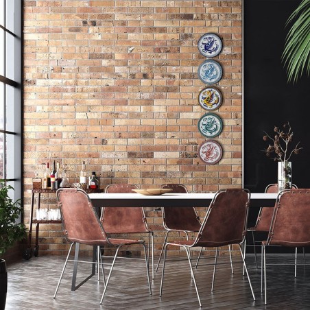 Service de 5 assiettes murales 25cm Raffaellesco Multicolor
