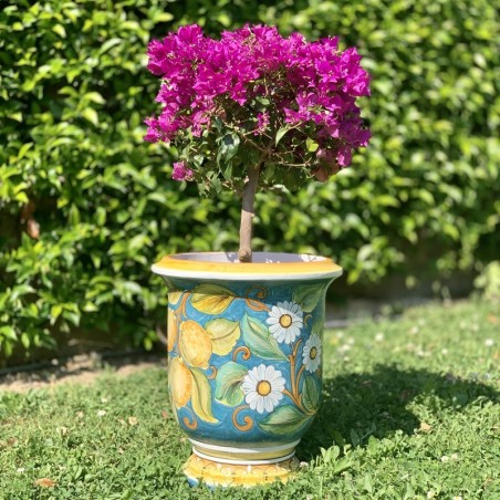 Vaso Anduze Sorrento