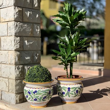 Planter Olive